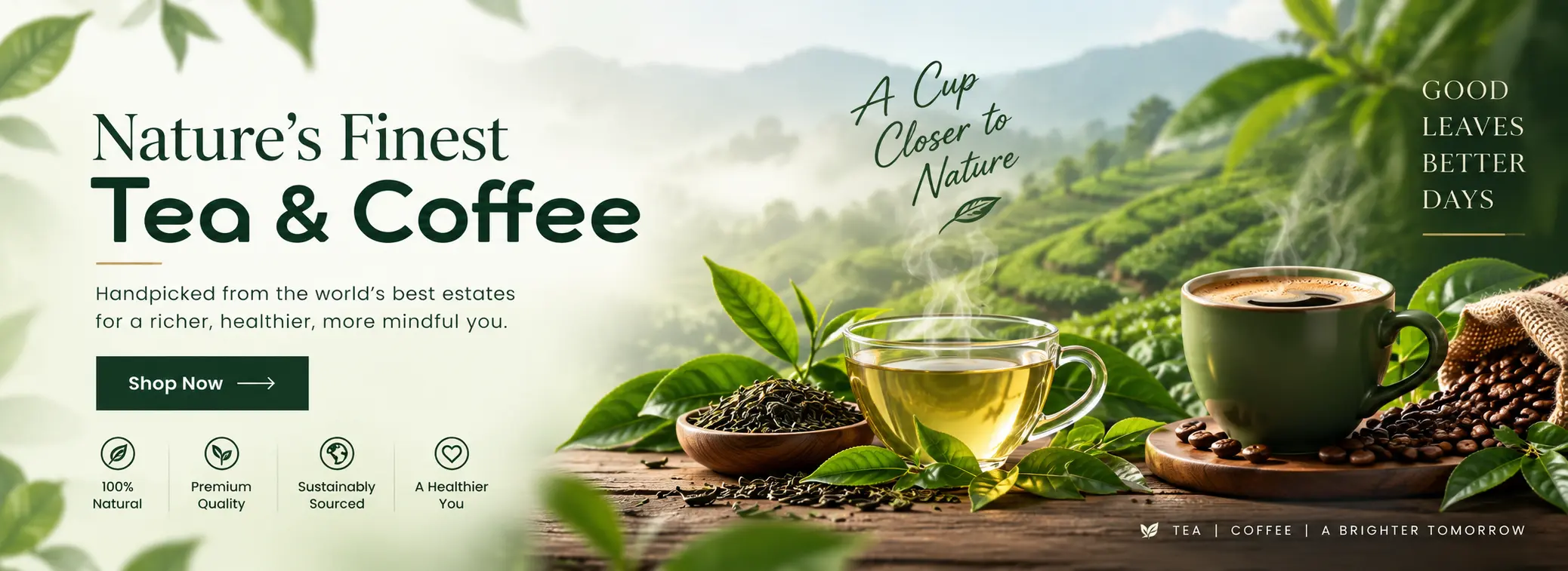 Organic Tea